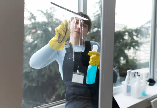 Nettoyage de vitres intérieures et extérieures à Solignac-sous-Roche